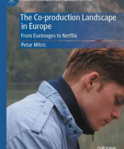 The Co-production Landscape in Europe: From Eurimages to Netflix eBook