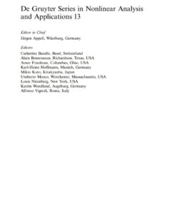 Optimization in Function Spaces: With Stability Considerations in Orlicz Spaces, 1st Edition eBook