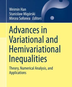 Advances in Variational and Hemivariational Inequalities: Theory, Numerical Analysis, and Applications eBook
