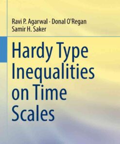 Hardy Type Inequalities on Time Scales eBook