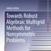 Towards Robust Algebraic Multigrid Methods for Nonsymmetric Problems eBook