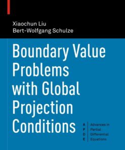 Boundary Value Problems with Global Projection Conditions eBook