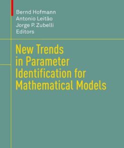 New Trends in Parameter Identification for Mathematical Models eBook
