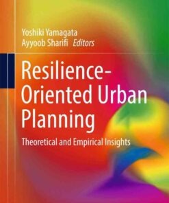 Resilience-Oriented Urban Planning: Theoretical and Empirical Insights eBook