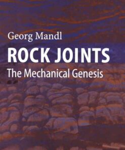 Rock Joints: The Mechanical Genesis eBook