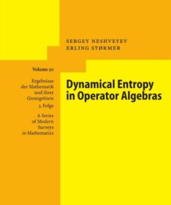 Dynamical Entropy in Operator Algebras eBook