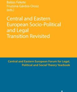 Central and Eastern European Socio-Political and Legal Transition Revisited, 1st Edition eBook