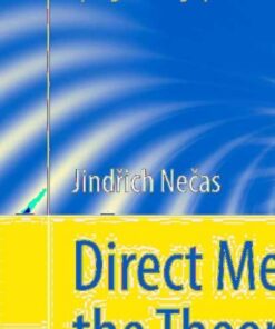 Direct Methods in the Theory of Elliptic Equations eBook