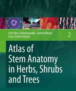 Atlas of Stem Anatomy in Herbs, Shrubs and Trees: Volume 2 eBook