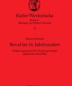 Reval im 16. Jahrhundert: Erfahrungsraeumliche Deutungsmuster staedtischer Konflikte, 1st Edition eBook