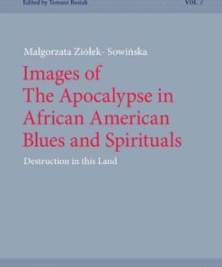 Images of The Apocalypse in African American Blues and Spirituals: Destruction in this Land, 1st Edition eBook