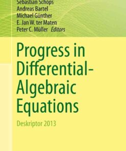 Progress in Differential-Algebraic Equations: Deskriptor 2013 eBook