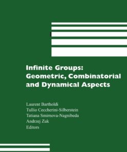 Infinite Groups: Geometric, Combinatorial and Dynamical Aspects, 1st Edition eBook