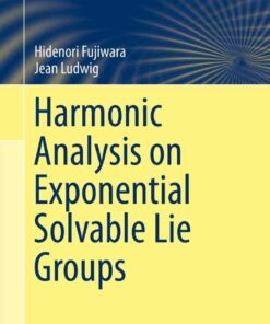 Harmonic Analysis on Exponential Solvable Lie Groups eBook
