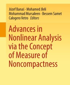 Advances in Nonlinear Analysis via the Concept of Measure of Noncompactness eBook