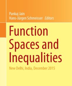 Function Spaces and Inequalities: New Delhi, India, December 2015 eBook