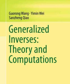 Generalized Inverses: Theory and Computations eBook