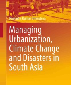 Managing Urbanization, Climate Change and Disasters in South Asia eBook