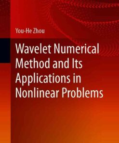 Wavelet Numerical Method and Its Applications in Nonlinear Problems eBook