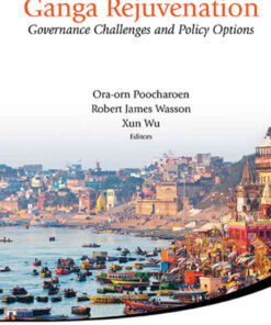 Ganga Rejuvenation: Governance Challenges and Policy Options eBook