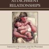 Therapeutic Attachment Relationships: Interaction Structures and the Processes of Therapeutic Change, 1st Edition eBook