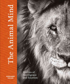 The Animal Mind: Profiles of Intelligence and Emotion eBook