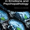 The Cerebellum in Emotions and Psychopathology eBook