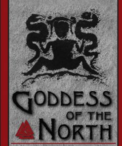 Goddess of the North: A Comprehensive Exploration of the Norse Godesses, from Antiquity to the Modern Age eBook