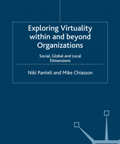 Exploring Virtuality Within and Beyond Organizations: Social, Global and Local Dimensions eBook