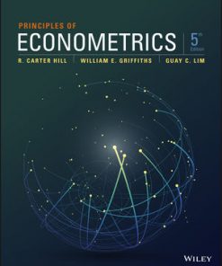 Principles of Econometrics eBook