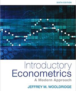Introductory Econometrics: A Modern Approach eBook
