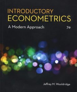 Introductory Econometrics eBook