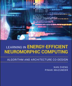 Learning in Energy-Efficient Neuromorphic Computing: Algorithm and Architecture Co-Design eBook