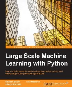 Large Scale Machine Learning with Python eBook