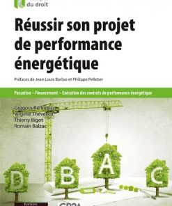 Réussir son projet de performance énergétique: Passation - Financement - Exécution des contrats de performance énergétique eBook