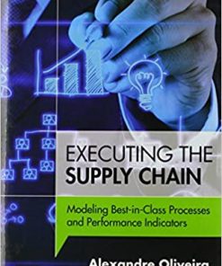 Executing the Supply Chain: Modeling Best-in-Class Processes and Performance Indicators eBook
