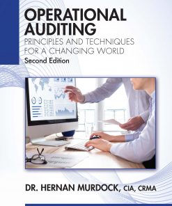 Operational Auditing: Principles and Techniques for a Changing World eBook