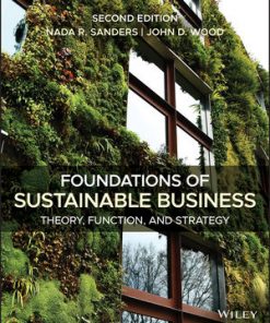 Foundations of Sustainable Business: Theory, Function, and Strategy eBook
