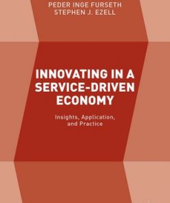 Innovating in a Service-Driven Economy: Insights, Application, and Practice eBook
