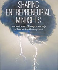 Shaping Entrepreneurial Mindsets: Innovation and Entrepreneurship in Leadership Development eBook