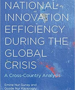 National Innovation Efficiency During the Global Crisis: A Cross-Country Analysis eBook