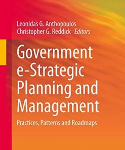 Government e-Strategic Planning and Management: Practices, Patterns and Roadmaps eBook