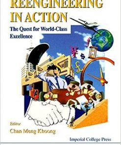 Reengineering In Action: The Quest For World-class Excellence eBook