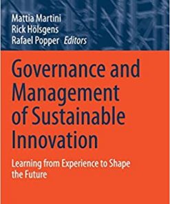 Governance and Management of Sustainable Innovation: Learning from Experience to Shape the Future eBook