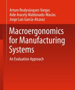Macroergonomics for Manufacturing Systems: An Evaluation Approach eBook
