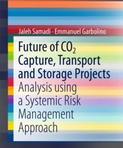 Future of CO2 Capture, Transport and Storage Projects: Analysis using a Systemic Risk Management Approach eBook