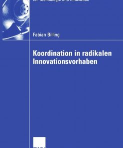 Koordination in radikalen Innovationsvorhaben eBook