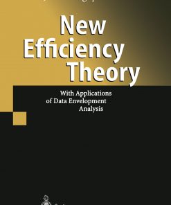 New Efficiency Theory: With Applications of Data Envelopment Analysis eBook