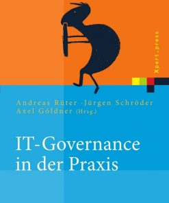 IT-Governance in der Praxis: Erfolgreiche Positionierung der IT im Unternehmen. Anleitung zur erfolgreichen Umsetzung regulatorischer und wettbewerbsbedingter Anforderungen eBook