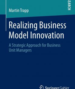 Realizing Business Model Innovation: A Strategic Approach for Business Unit Managers eBook